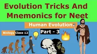 Human Evolution Tricks For NEET | Evolution Tricks for Neet Biology Class12 Part - 3 