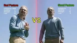 I Disagree with Doctors about Posture