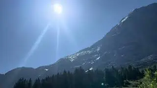 Switzerland!🇨🇭The Alps! / Из Гриндельвальда до Клайне Шайдегг! 11.07.2023 День 14. Часть 1. #travel