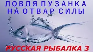 Русская Рыбалка 3. Ловля ПУЗАНКА на отвар силы