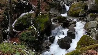 Relaxation, Meditation, Deep Sleep