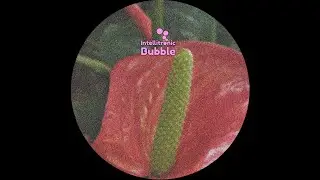 Deeb -- Software Selection 002.1