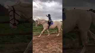 The Macarena on Stallion 