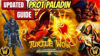 The ONLY Protection Paladin Guide You Need - Turtle WoW