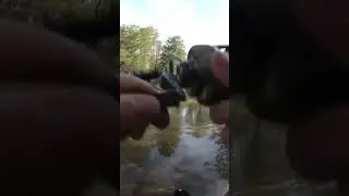 Голавль в пекло . #fishing #голавльнаспиннинг #рыбалка #рыбалканаспиннинг #fish