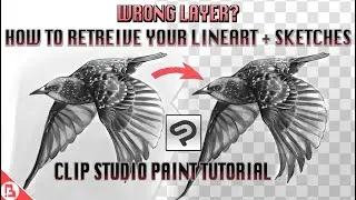 Wrong Layer? How to Save Your Lineart and Sketches! - CLIP STUDIO PAINT TUTORIAL