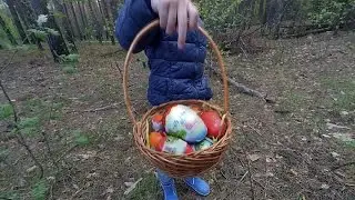 Охота за яйцами-сюрпризами! Kinder surpises eggs hunting