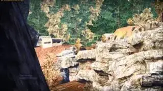 War ThunderPanther Ace