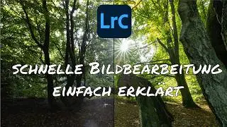 Lightroom - Waldbild mit wenigen Klicks verbessern! Einfach aufgepeppt #2