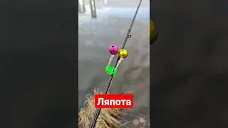 Ляпота.