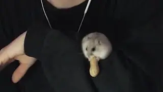 макдона