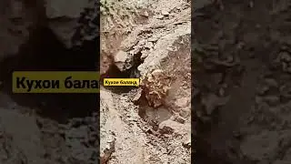 кухои баланд )тобистон