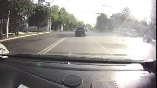 норка или хорь