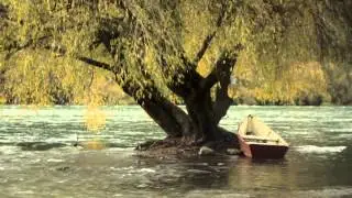Río San Pedro (Los Lagos - Chile)