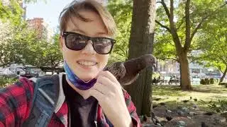 My September... presented without context! (Vlogs Year 30 Part 1)