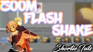 Zoom Flash/Shake Transition「SVP Tutorial」