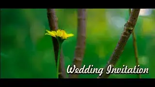 Wedding Invitation 2019