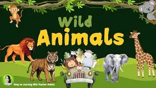 Guess the Animal II Wild Animals II Fun Quiz for Children