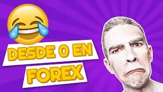 HOW TO MAKE MONEY with FOREX as a BEGINNER