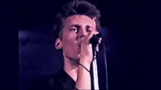 Рок  архив -2. (панки).  1988.  лучшее.   г. Ленинград.  /В. Пискунов/.