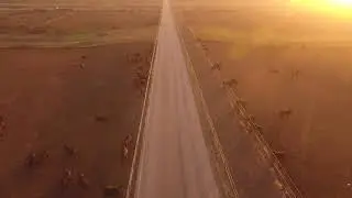 Стейк