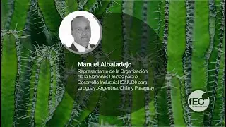 Manuel Albaladejo (Representante ONUDI para AR, CL, PY y UY) - Foro de Economía Circular LATAM
