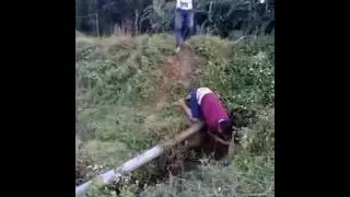 bokep
