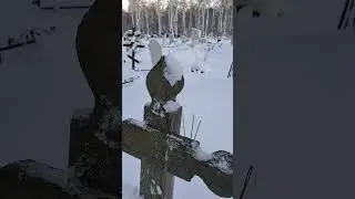 СТРАШНАЯ ПОРЧА