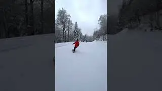 Carving Technique Check
