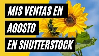 Mis ventas en agosto en Shutterstock 💸