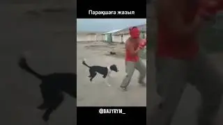 #шавкат