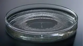Miele UltraPhase 1 en 2, het beste systeem voor vloeibaar wasmiddel (short)