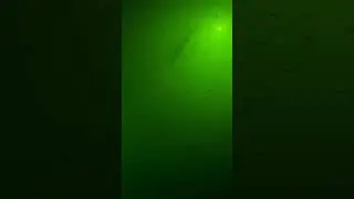Underwater Fish Light For Docks & Boats 