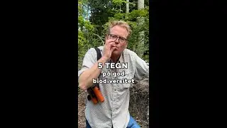 Sebastian Klein giver dig 5 tegn på biodiversitet 🌱