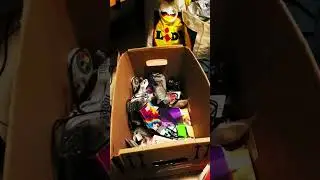Für die nächste Zeit erst mal kein Video.