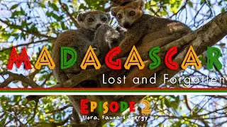 Madagascar: Lost and Forgotten - Episode 2