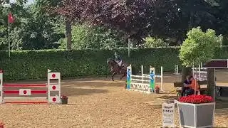 Caretino gold x clearway