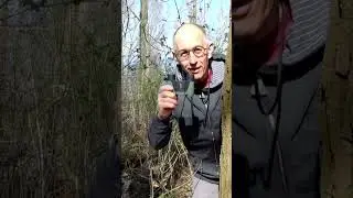 Vorfokussiertes Fernglas