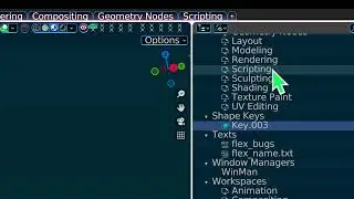 Blender 4.0 Outliner on Blender File when delete cause crash guide.