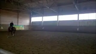 Норд