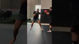 High Energy and Power with @Prozis  #fighting #mma #ufc