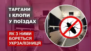 Звідки у поїздах з'являються таргани і клопи?