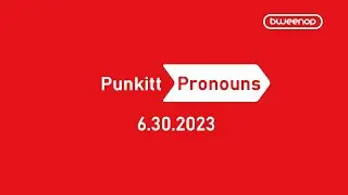 Punkitt Pronoun Direct 6-30-2023