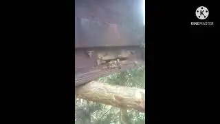 РОЕЛОВСТВО КАК ОБРАЗ ЖИЗНИ!