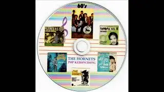 amir hamzah & the hornets _ silih berganti