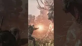 Why is The Witcher universe full of monsters?