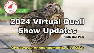 2024 Virtual Quail Show Updates - Coturnix Corner LIVE
