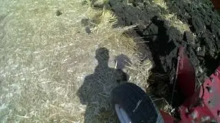 ХТЗ 17221+Плуг  Оптікон а4