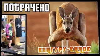 Потрачено. Кенгуру качок. Лучшие приколы, смешные видео и фейлы
