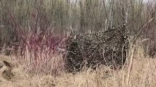 Маскировочная сеть Таёжная